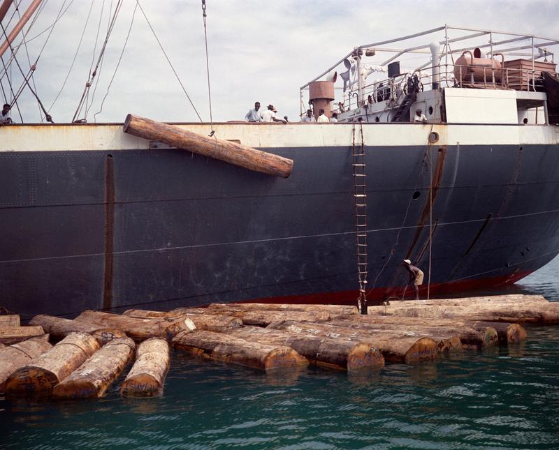 Color image of a dark blue and white ship with logs floating in the water next to it; one log is suspended and is being loaded or unloaded